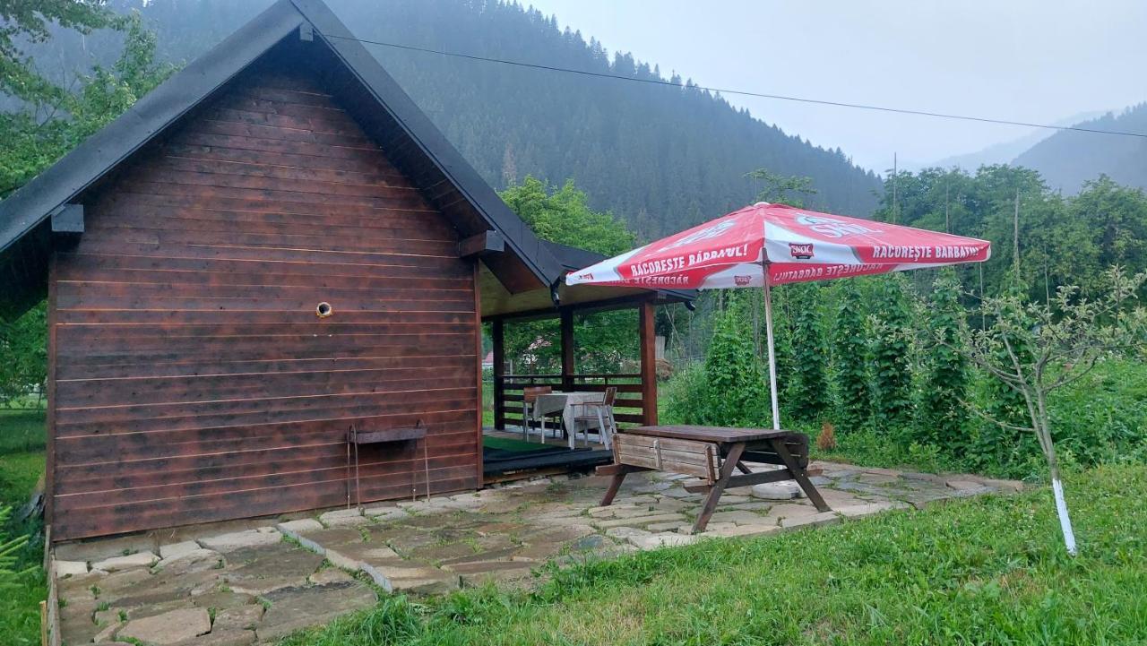 Willa Tiny House Casa Axa Paraul Carjei Zewnętrze zdjęcie